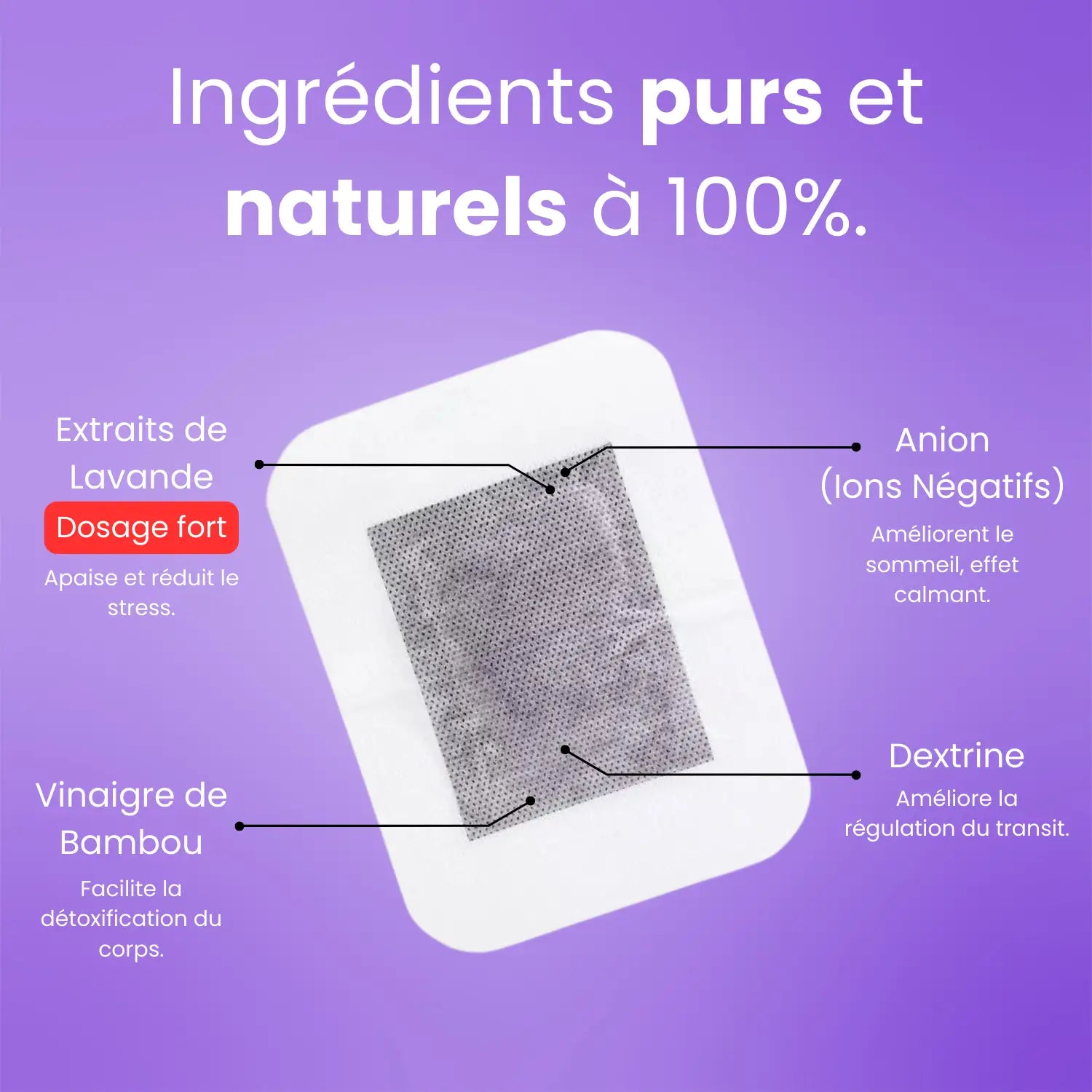 Ingrédients naturels des Patchs Lavande Relaxation Ecolife®.